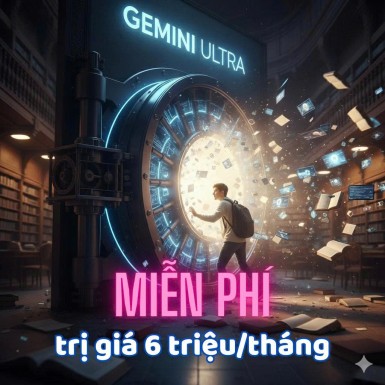 hinhanh
