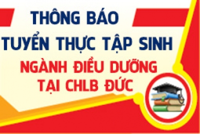 hinhanh